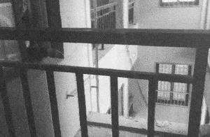 Bristle with anger making a person! 15 years old o