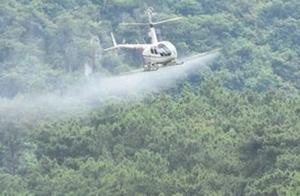 The net is passed " pig of acute communicable dis