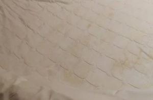 Hotel chaos elephant is exposed to the sun again! 