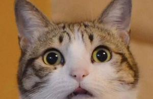 Experience record amount 4.8 billion yuan, 84 peop