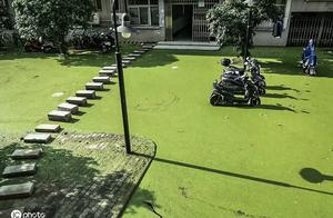 The one college after rainstorm changes 