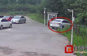 This driver bravery true fertilizer! Actually priv