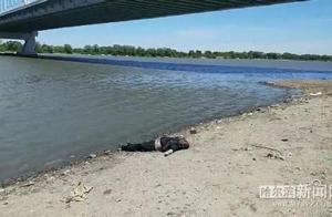 Doubt is like drown die, just salvage to disembark Piao police searchs a family member