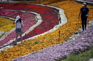 Beijing is average 2018 industry of 94258 yuan of 