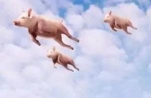 Why should consumer choose you? | Product innovation course is premonitory