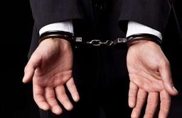 Bright man buys refus of 11 electric car not to gi