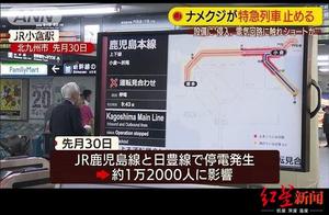 Tens of classes list suffocate suffocate, even mor