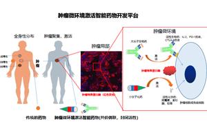 Pre-A of capital of huge rock continuous heavy rain annulus get cast tumor small environment to answ