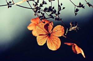 The deepest harm in human relation, not be direct 