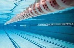 Individual plant continent swims 6 times place wat