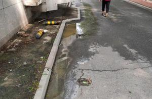 Masses new city 3 period the rubbish before the do