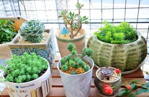 " of rubbish of 3 kinds of " , the soil that rai