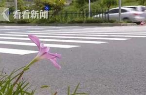 Be distressed! 9 years old of girls are bumped to 