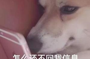 Expressional bag: How do you pay no attention to m