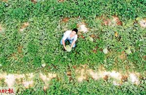 Be not easy! Before dawn of old person of Ning Liu