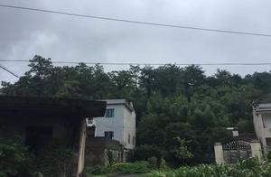 7 years old male child murder by hall elder brothe