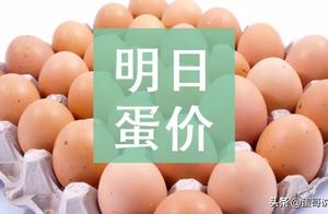 Tomorrow (on May 31) egg price is forecasted