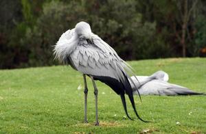 Money tastes nice person, general moral quality is not poor also