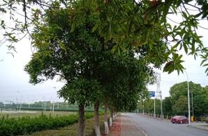 Life is cherished not easily each other please