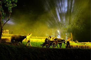 Travel acts art culture authenticity regression and innovation