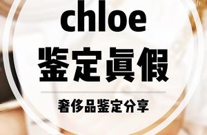 True and false of appraisal of bag of piggy of Yi 