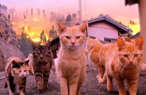 [is national ability " buy " must come back? -- 