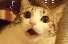 Be amazed! 2 years old female child the hair drops light suddenly! Vigilant in your home these 