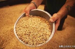 Attack a peasant continuously: Have in the home pu