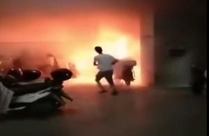 Illicit of hair of frequency of accident of electr