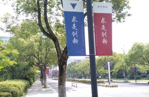 Cover an area of? 3192 mus + dekko of 5500 mus campus of harbor of Zhejiang university violet gold
