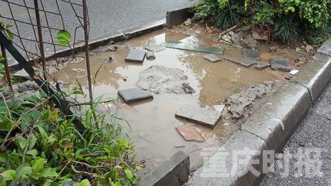 重慶市孫家巖蘭花小學的一些問題知道者進