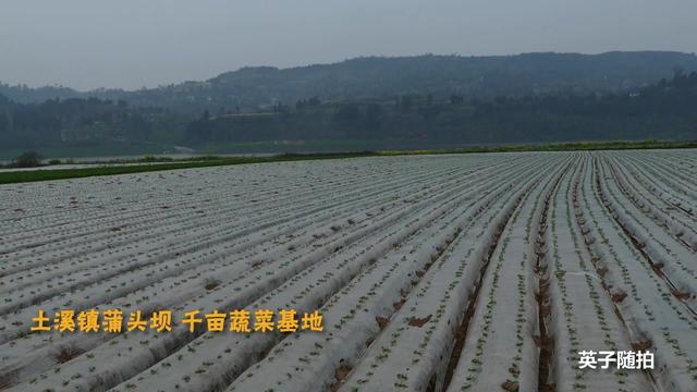四川達州渠縣土溪鎮