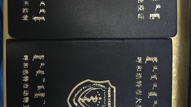 中铁快运可以托运狗狗吗