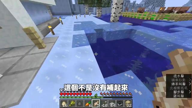 我的世界 Minecraft 我的村民为什么不繁殖