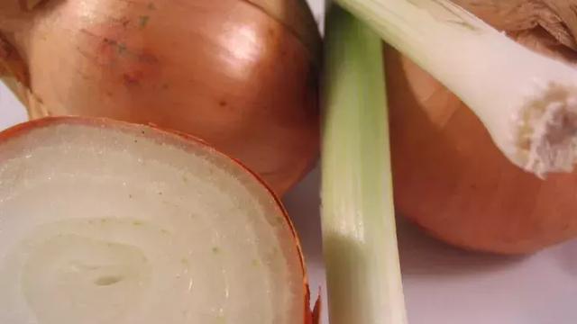 大葱和洋葱哪个营养价值更高