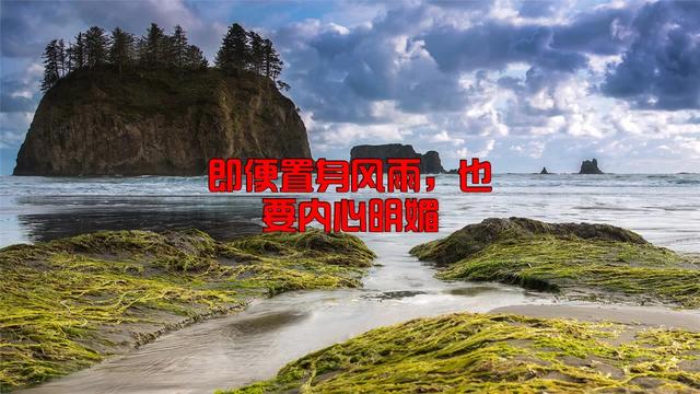 即便是经历风雨,内心也要明媚的句子