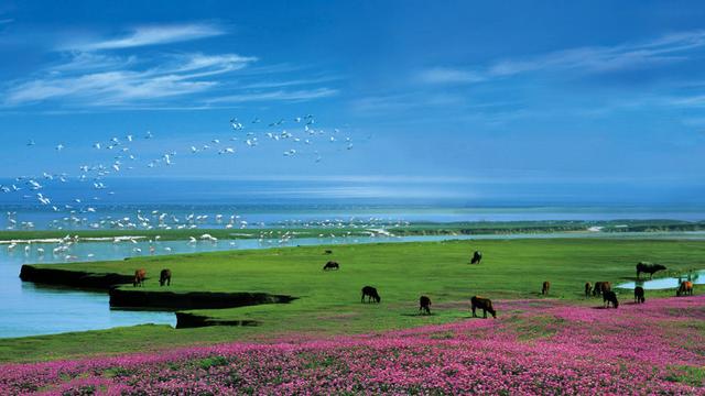 中国第一大湖是鄱阳湖还是青海湖请提供面积