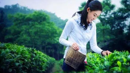雅女什么意思