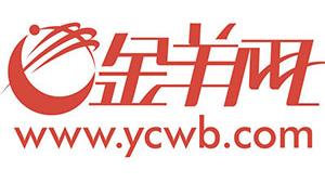飞机上能不能带小乌龟