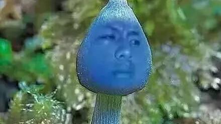 宜宾市区有哪些好玩的地方