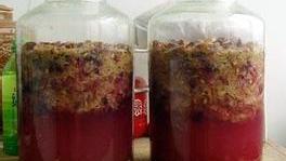 自制葡萄酒温度过来酒味刺鼻很么办