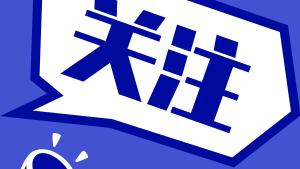 中國電廠發電規模排名