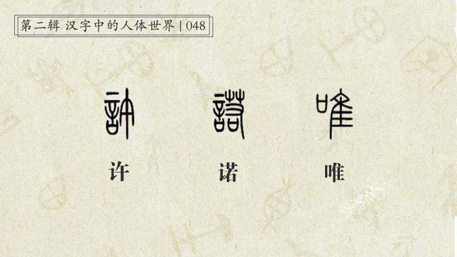 诺有什么什么四字的成语