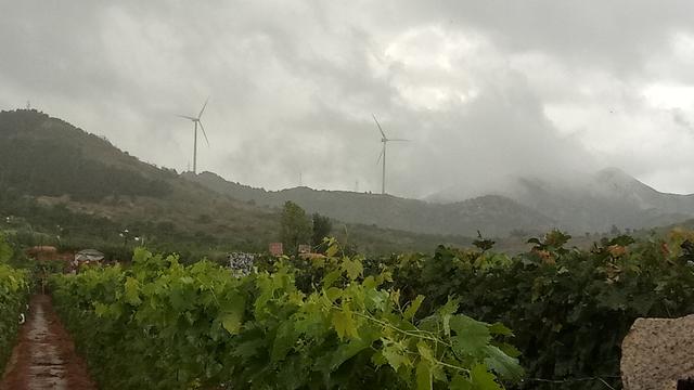 用夸张修辞手法把中午的雨下得可真大啊,补充完整