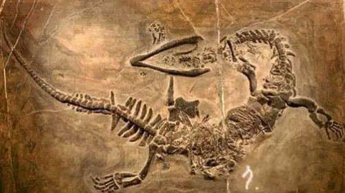 古代皇帝为什么被称为龙