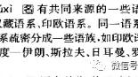 文章的第一段的作用
