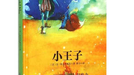 小王子这本书告诉了我们什么道理