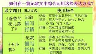 語文閱讀的表達效果怎么寫