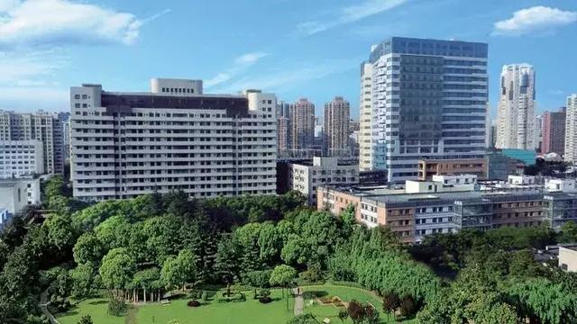到上海第六人民醫院坐幾號線到