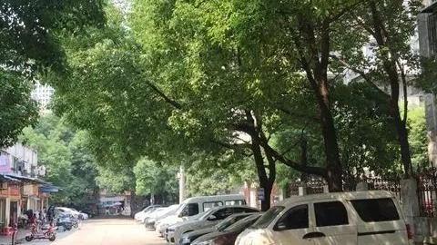 如些沒有資職的物業也敢如此亂收費